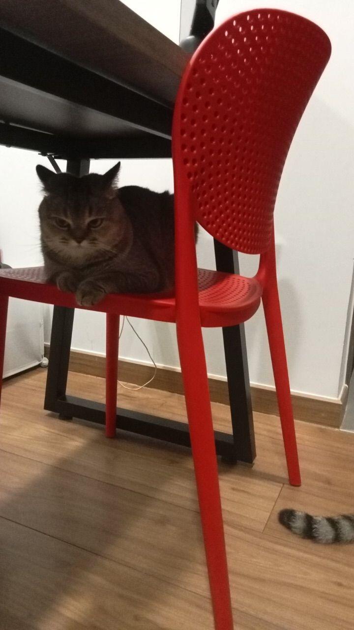 p*******3 review photo