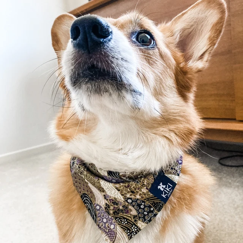 Purple Traditional Japanese Pattern II Dog & Cat Bandana