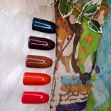 P.V.Z. review photo
