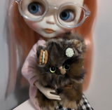 Kelly review photo