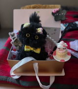 Anda review photo