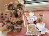 Dasha review photo