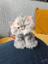Alana S. review photo