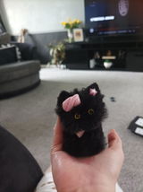 Iyla review photo