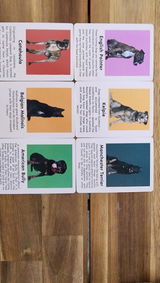 Hannah Finfrock review photo