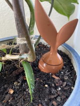 Diane Sbranti review photo