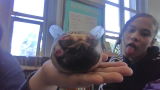 Mr. Bobinski review photo