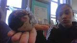 Mr. Bobinski review photo