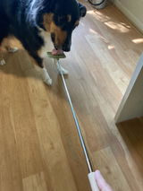 Doggie Shopper review photo