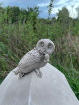 Rachel Harding, powered by purple pottery review photo