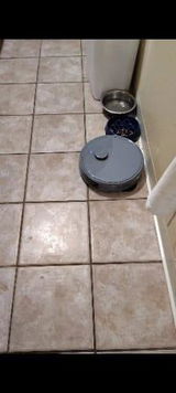 Shopper review photo