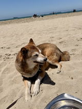 Keeksatthebeach review photo