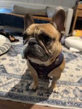 BMO’s Mom review photo