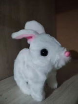 Carina G. review photo