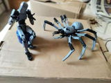 Liam A. review photo