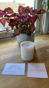 Tiffany Darwish review photo