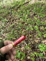 Anonymous review photo