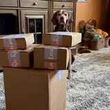 Michelle Clemente review photo