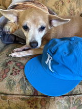 Hoodhounds review photo