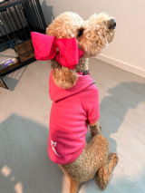 guccithedoodle01 review photo