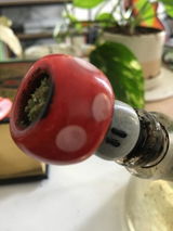 colton g. review photo