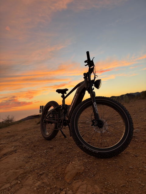 EX Titan | Premium Full Suspension Electric Mountain Bike