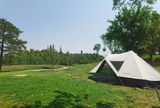 Campy review photo