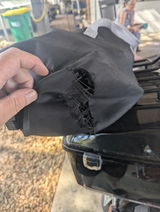 Dale review photo