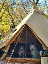 ,Traeallen review photo