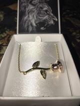 Lyn Christmas review photo