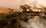 Mandi Sweet review photo