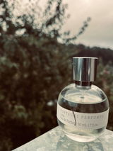 Helena J. review photo