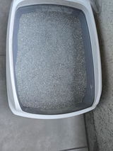 PF review photo