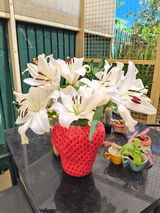 Lynda G. review photo