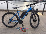 Trevor J. review photo