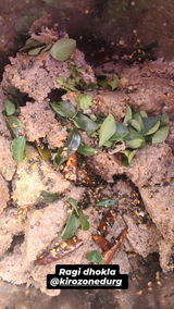 Rishi review photo