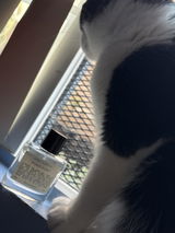 Whatsdatsmell review photo