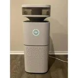 Enoch review photo