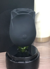 A***a review photo