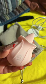 P******a review photo