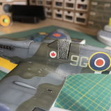 Richard Fray review photo