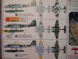 Lewis Frederickson review photo