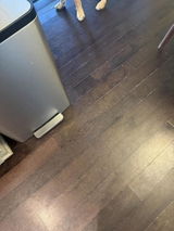 Bridgette review photo