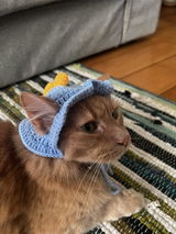 Review photo from Lauren