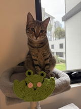 Review photo from Stephen Z