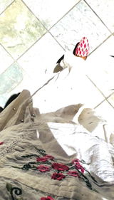 Divya review photo