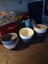 Inga Barnyak review photo