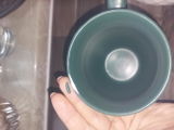 carina h review photo