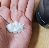 ニシムラ review photo