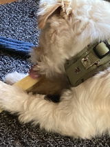 Customer review photo